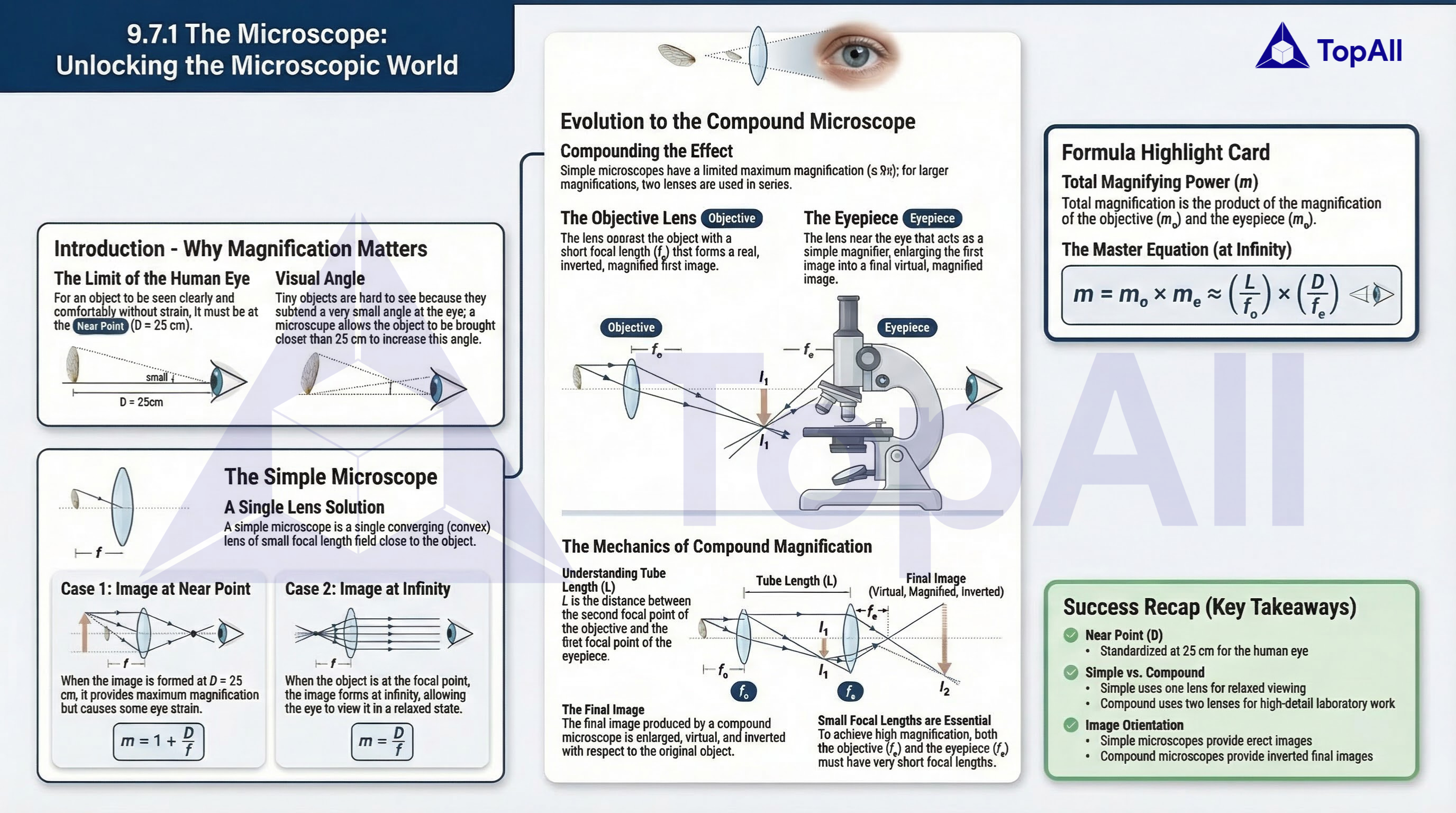 Mind Map Microscope TopAll Free— Master NEET & JEE with India's Largest MCQ Library.