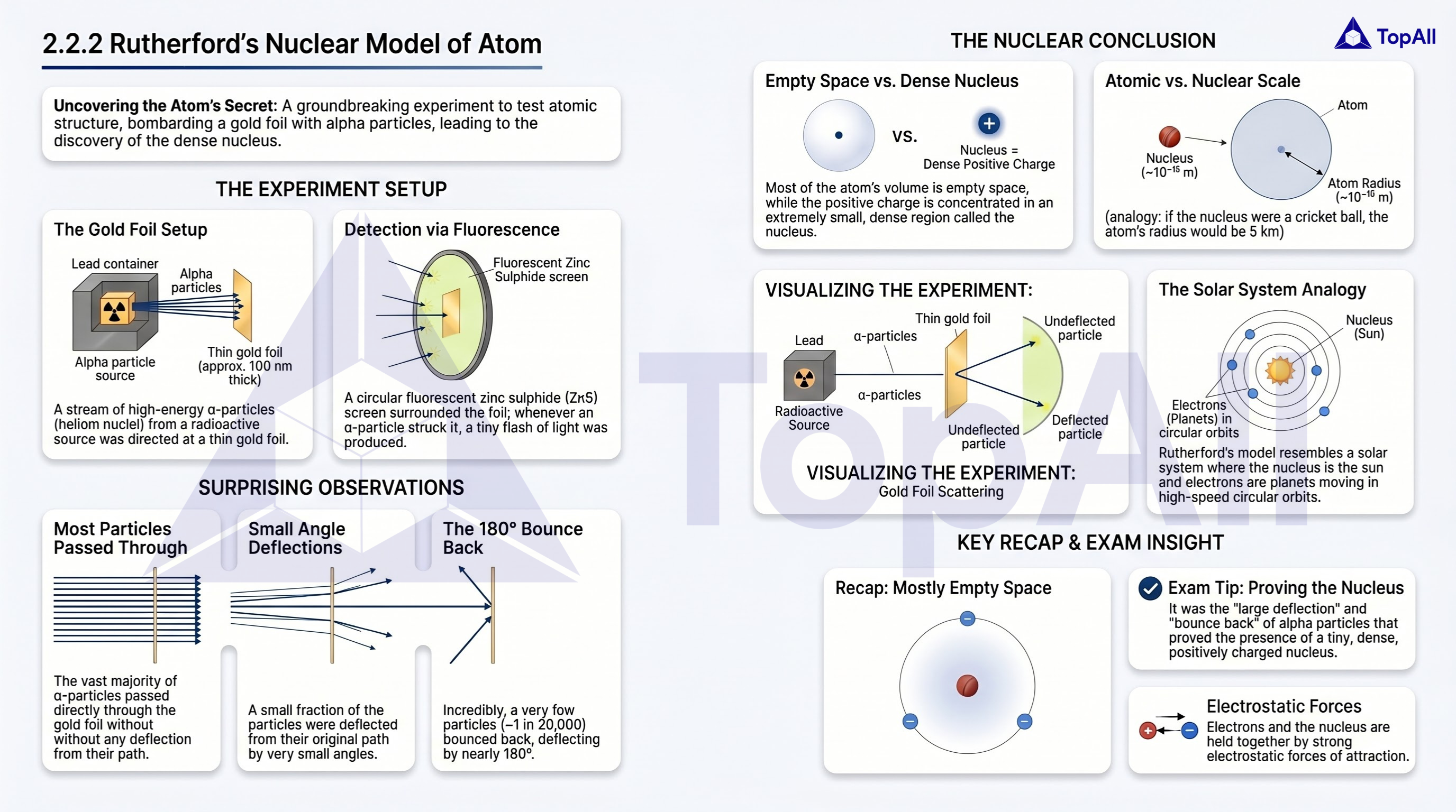 Nucleoli Model TopAll Free— Master NEET & JEE with India's Largest MCQ Library.